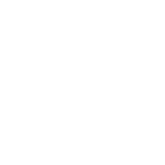 logo wazemmes en transition inline-1