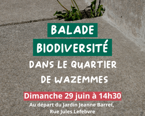 Balade biodiversité dans le quartier de Wazemmes