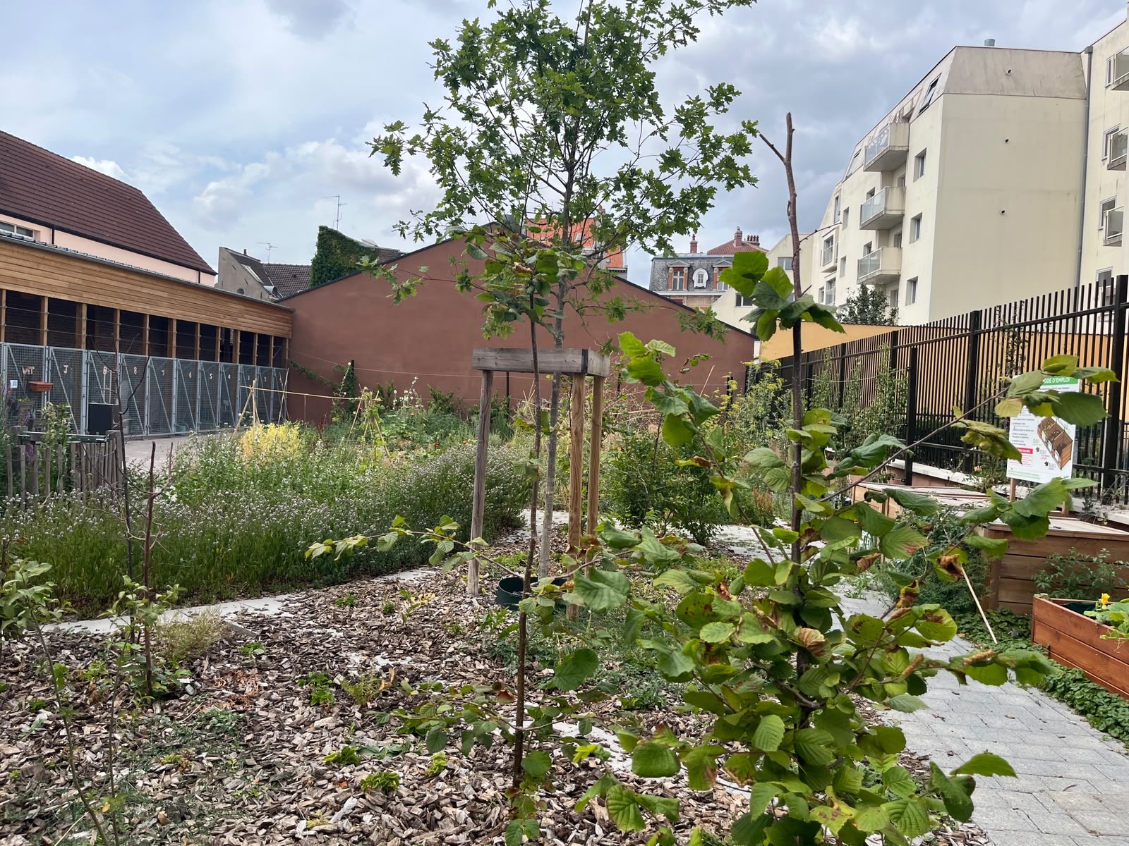 Chantier d’entretien mare et fruitiers au jardin